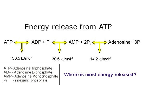 ATPenergy release.jpg