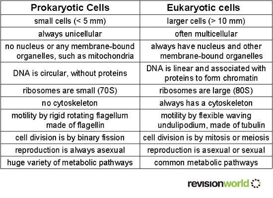 celldifferences.jpg