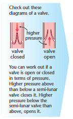 rsz_1valve_diagrams.png